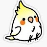Birb Birb