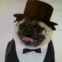 Thedog Goesbark