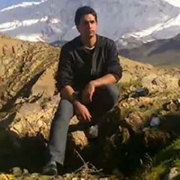 hamed y
