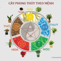 Phong Thủy