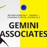 Gemini Group