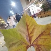 黄春海