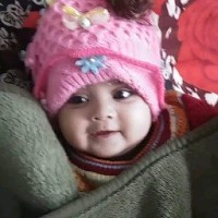 Md Mahmud