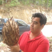 Guillermo Sánchez
