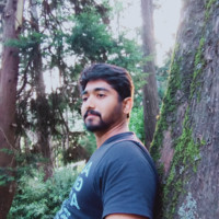 Avinash Dsouza