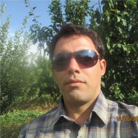 Hamid Babaei
