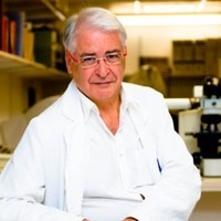 Vicente Varea