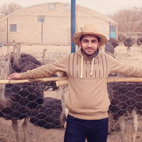 Mohammad khademzadeh