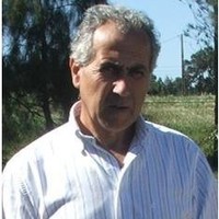 António Jacinto