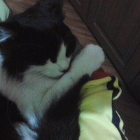 jose maria garavito neira