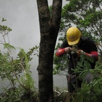 Rodolfo De Leon