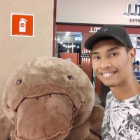 Vinícius Silva Dias