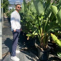 Caner Kaya