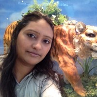 Nazleen bhugaloo