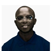 Ikechukwu B. Njoku