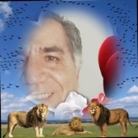 avi nahmani