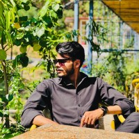 Nasir Malik
