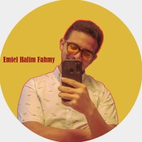 Emiel Halim Fahmy Saad