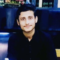 Muhammad Hussnain