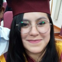 Carmen L. Melendez Rosas