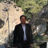 sanjib Bora