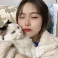 Jing Cai