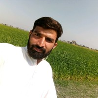 Zain Cheema