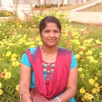 Veena Meela