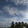 Sasikkumar S