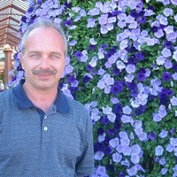 Daniel T Busch
