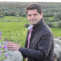 Daniel Costea