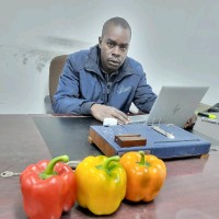Evans Sindani