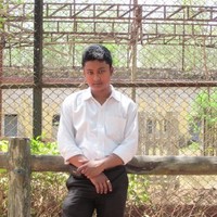 Partha Sarothi