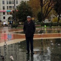 Gamal Hisham