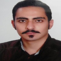 Ramin Rasouli