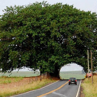 Eduardo Herrero Cardoso