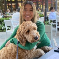 Jodi Vuong