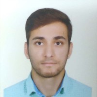 Afshin Rasouli