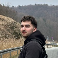 Vlad Vaycehovic