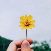 陈晓金