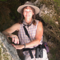Debra Barringer