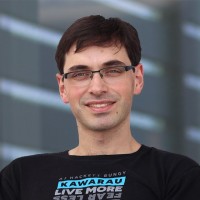 Rui A. Costa Fraga