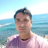 Dinesh Singh