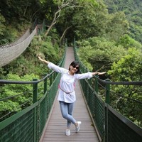 杨慧青