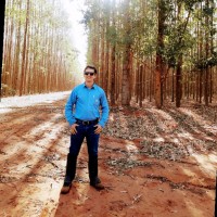 Warley Fialho Silva dos Reis