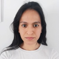 Lis A. Carrizo De La Fuente