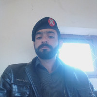 M Adnan