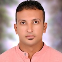 Ahmed El-Ahmedy