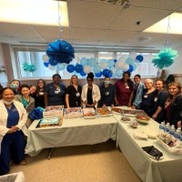 Stephanie Cosentino Msn, Rn