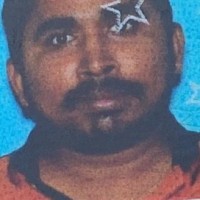 Pedde Raju